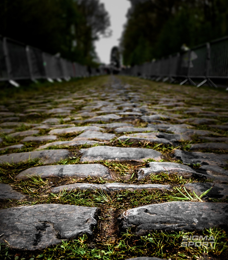 Arenberg Trench cobbles