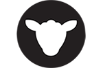 Black Sheep Cycling