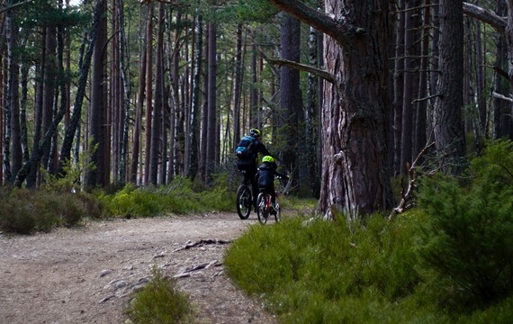 The UK&rsquo;s Most Family-Friendly Cycle Routes