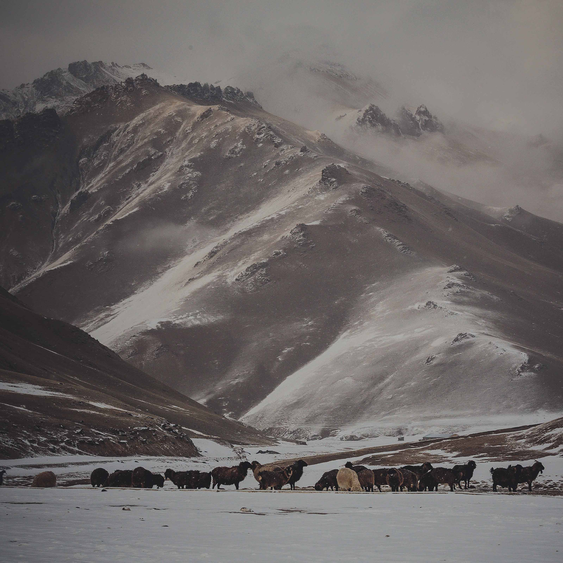 Kyrgyzstan mountains