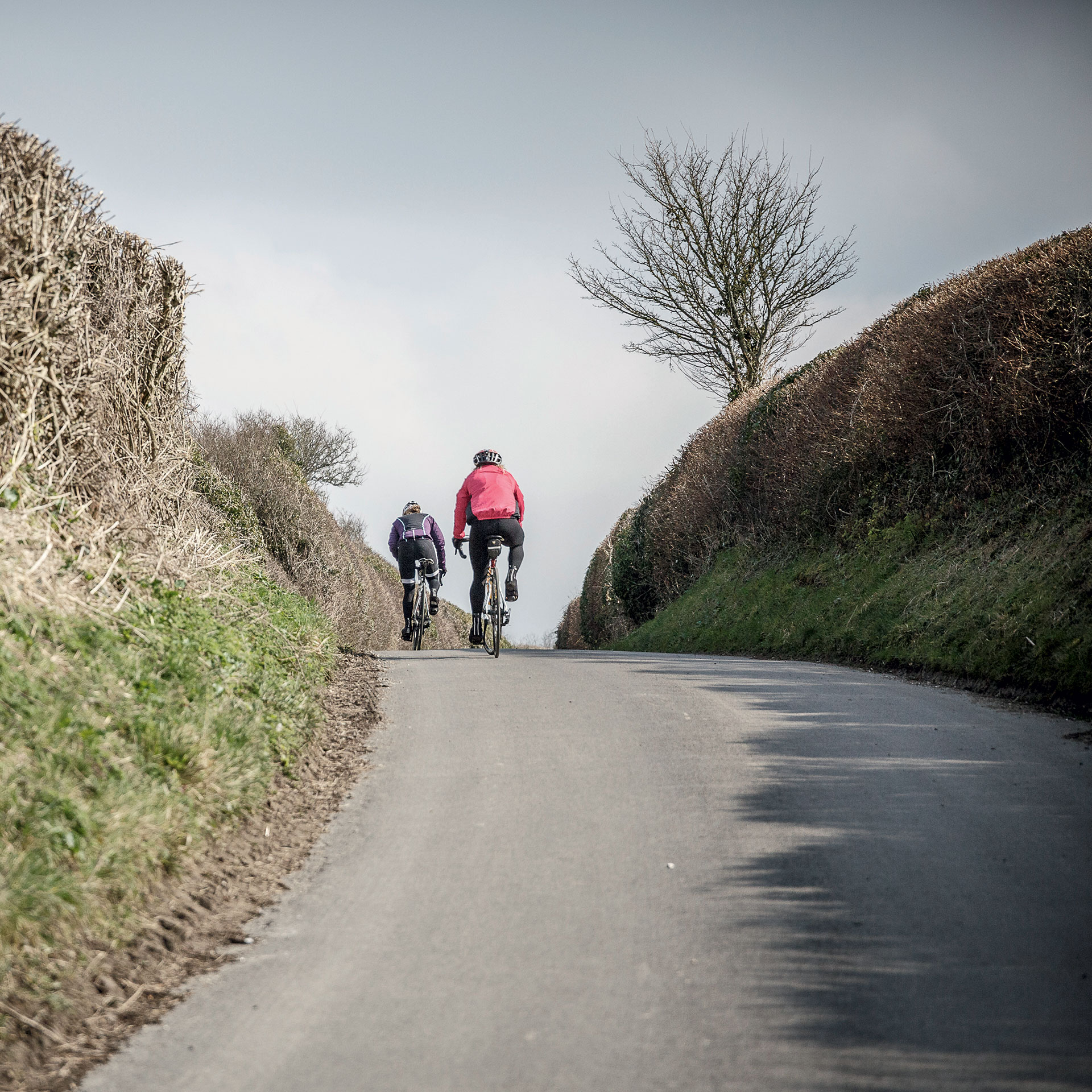 Sigma Sports Challenge Series Wiltshire Wildcat Sportive Road