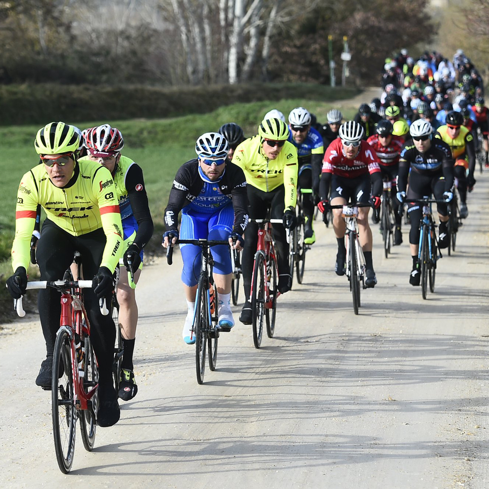 Trek Segafredo Strade Bianche Gran Fondo