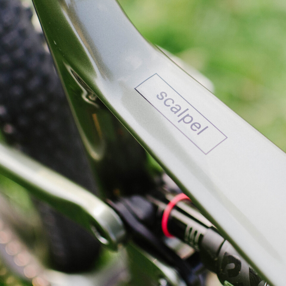 Cannondale Scalpel Virtual Horst Link