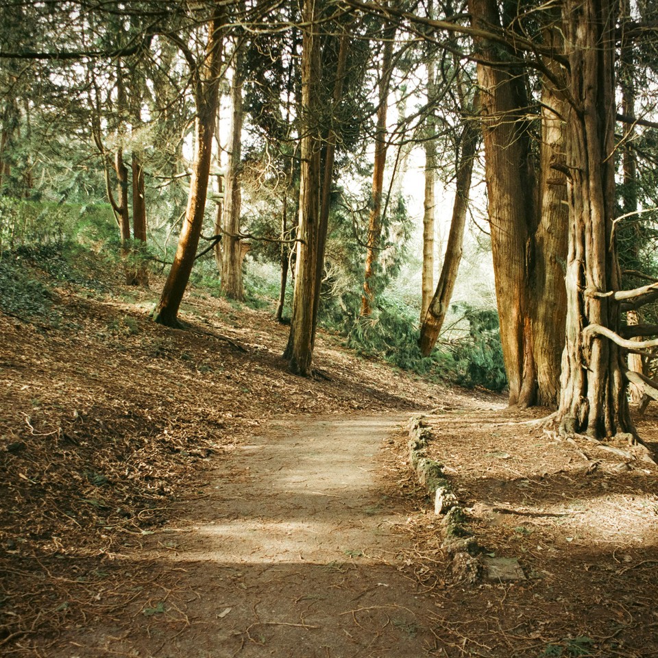 Top Family-Friendly Routes by Region