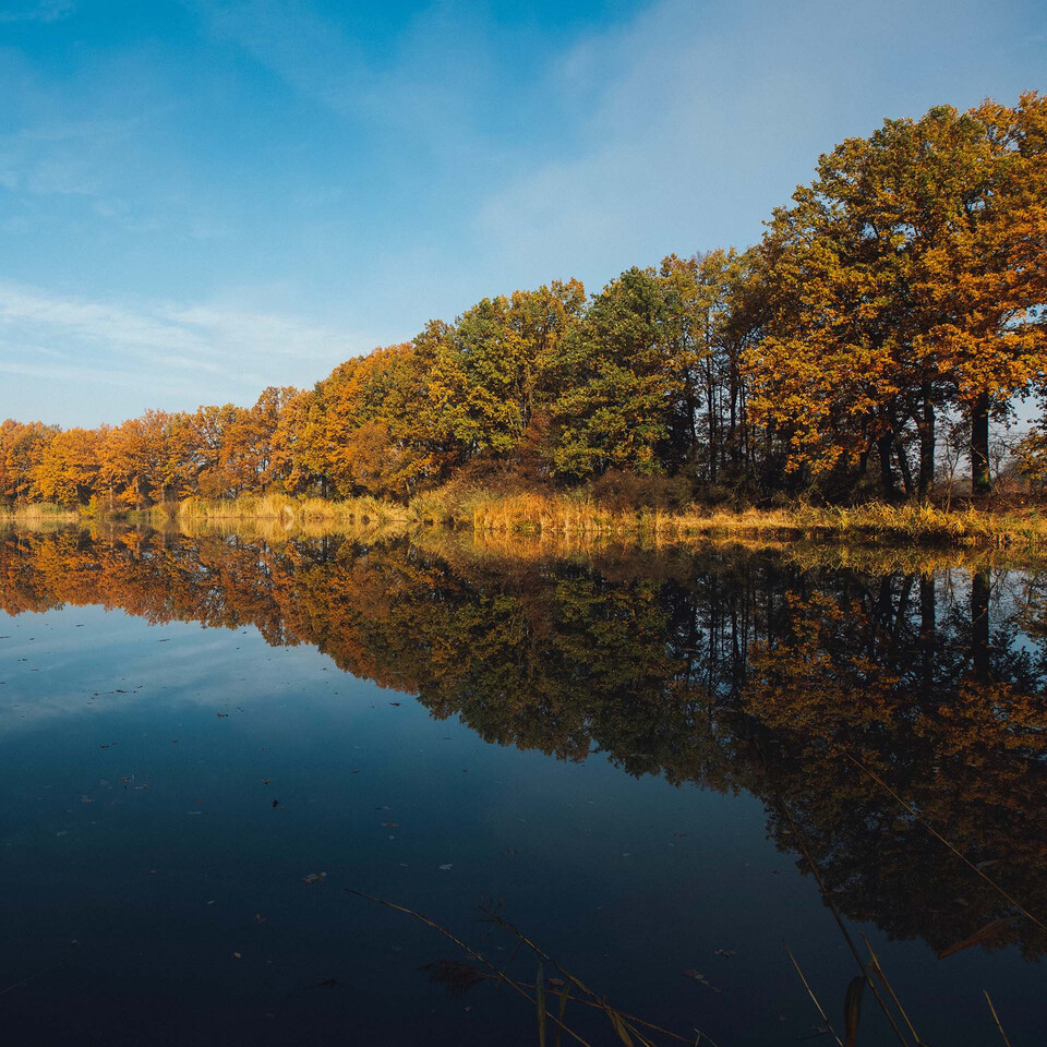 Wild Swimming