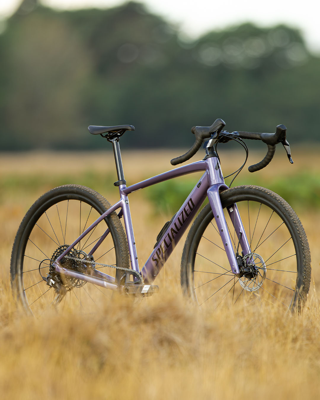 Specialized Diverge Gravel Bike