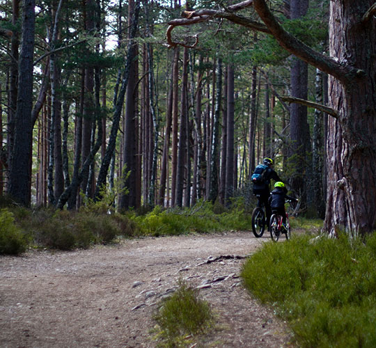 The UK&rsquo;s Most Family-Friendly Cycle Routes