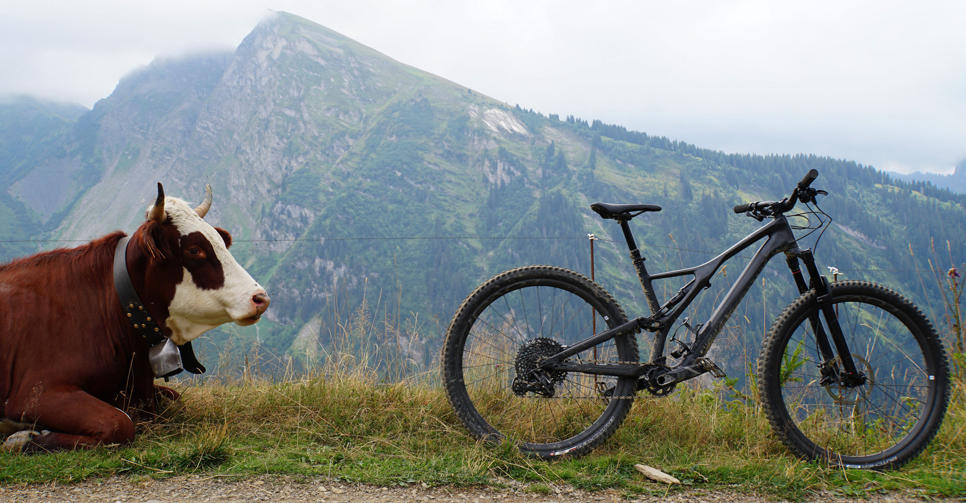 Mountain biking shop in the alps