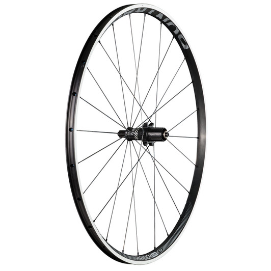 Bontrager Paradigm Elite TLR Cool Grey Clincher Rear Wheel