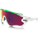 Oakley Jawbreaker Green Fade Edition Sunglasses PRIZM Road Lens