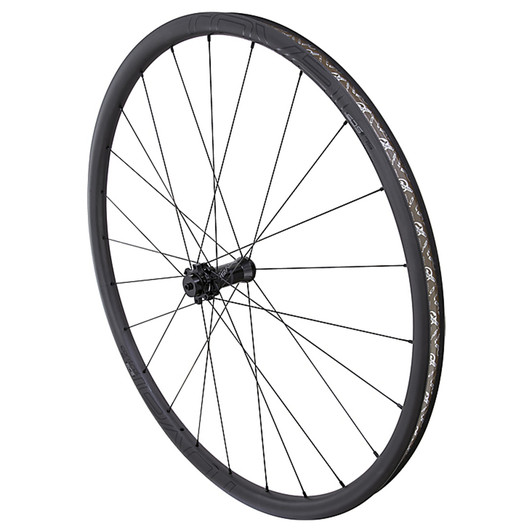 Roval Control SL Disc SCS 29 Clincher Front Wheel
