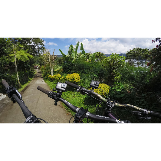 GoPro Pro Handlebar/Seatpost Mount