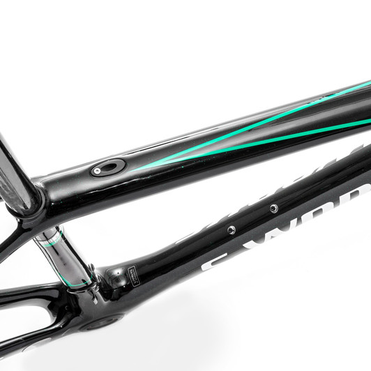 Specialized S-Works Tarmac Bora-Hansgrohe Team Frameset 2017