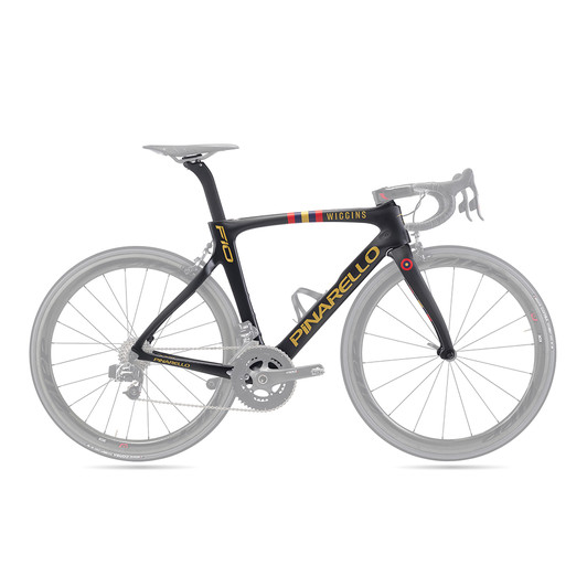 Pinarello F10 Road Frameset