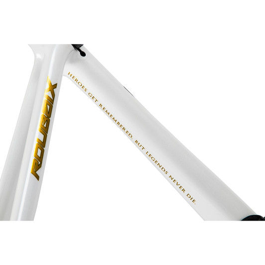 Specialized Boonen S-Works Roubaix Frameset