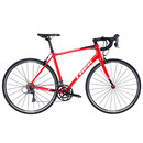 Trek Domane AL 2 Road Bike 2018