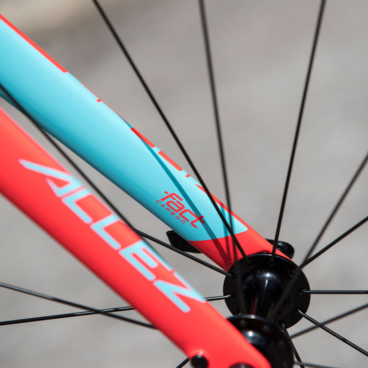 Specialized Allez Elite Road Bike 2018