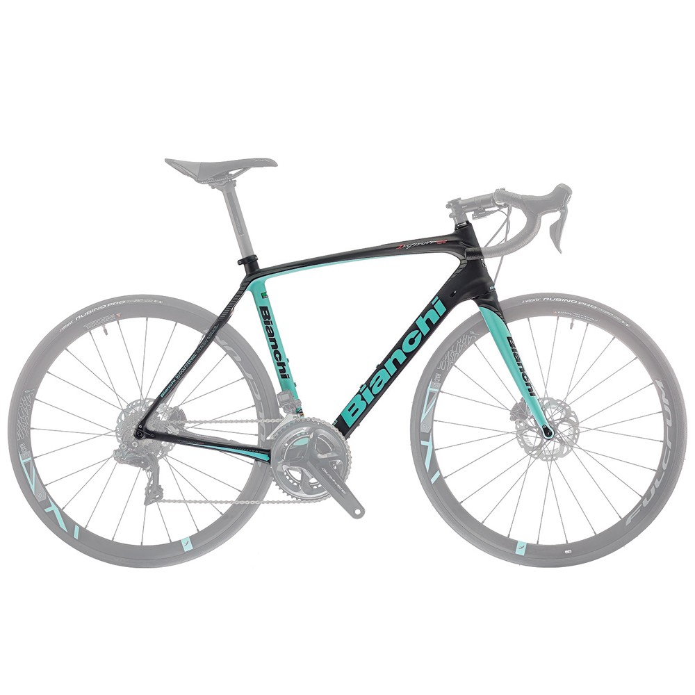 Bianchi Infinito CV Disc Road Frameset