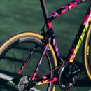 Specialized Sigma Sports Exclusive S-Works Tarmac SL6 Dura-Ace Road Bike