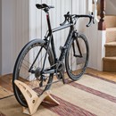 Cactus Tongue Clincher Bike Stand