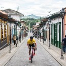 Black Sheep Cycling Los Cafeteros Colombia Bib Short