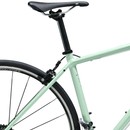 Trek Domane AL 2 Womens Road Bike 2019