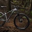 Trek Roscoe 8 Hardtail Mountain Bike 2019