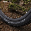 Trek Procaliber 9.7 Mountain Bike 2020