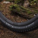 Trek Procaliber 9.7 Mountain Bike 2020