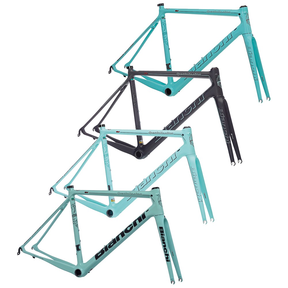 bianchi frameset sale