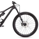 Specialized Stumpjumper FSR Pro Carbon EVO 29