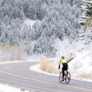 ENVE 2.2 SES Clincher Rear Wheel Chris King R45 Hub Black Shimano