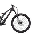 Specialized Stumpjumper Comp Carbon 29 12-Speed Mountain Bike 2020