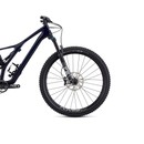 Specialized Stumpjumper ST Comp Carbon 29 12-Speed Mountain Bike 2019