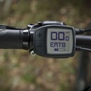 Trek Powerfly 5 Electric Mountain Bike 2019