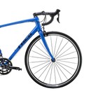 Trek Domane AL 2 Road Bike 2020
