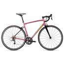 Specialized Allez Road Bike 2021