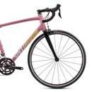 Specialized Allez Road Bike 2021