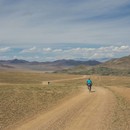 Apidura Backcountry Saddle Pack 14L