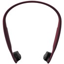 Shokz Trekz Titanium Wireless Headphones