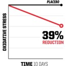 Xendurance Endurance+ Bundle