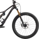 Specialized S-Works Stumpjumper 29 Mountain Bike 2020