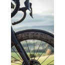 Mavic LDN Comete Pro Carbon UST Disc Wheelset
