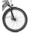 Focus Planet2 5.9 Disc Electric Hybrid Bike 2020
