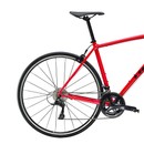 Trek Domane AL 3 Road Bike 2020