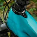 Trek Remedy 9.9 X01 Eagle 27.5 Mountain Bike 2020