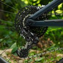 Trek Remedy 9.8 GX Eagle 27.5 Mountain Bike 2020