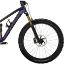 Trek Project One Fuel EX 9.9 X01 Eagle AXS 29 Mountain Bike 2020