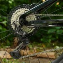 Trek Fuel EX 8 XT 29 Mountain Bike 2020