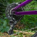 Trek Fuel EX 8 GX Eagle 29 Mountain Bike 2020